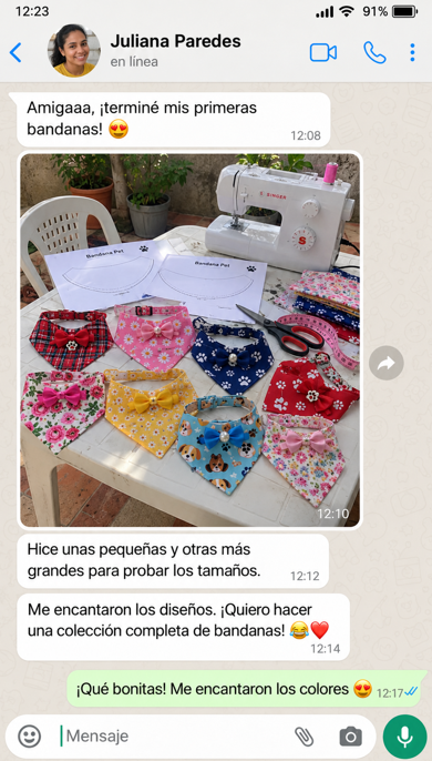 Conversación ilustrativa 3 de 6 sobre accesorios para mascotas