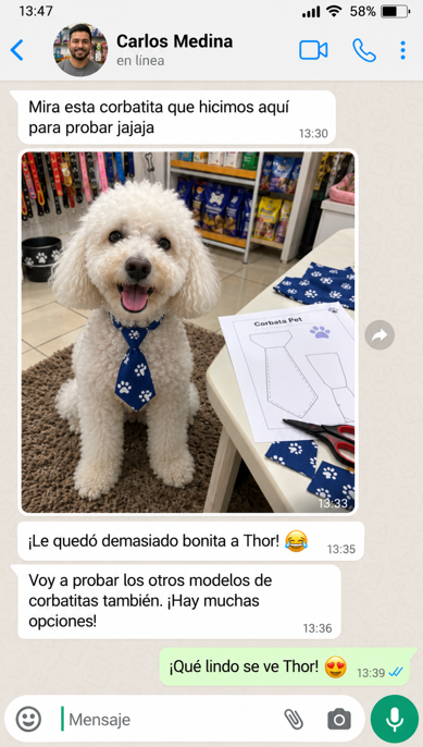 Conversación ilustrativa 2 de 6 sobre accesorios para mascotas