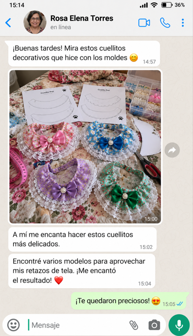 Conversación ilustrativa 1 de 6 sobre accesorios para mascotas