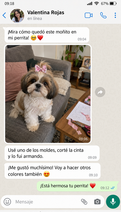 Conversación ilustrativa 5 de 6 sobre accesorios para mascotas