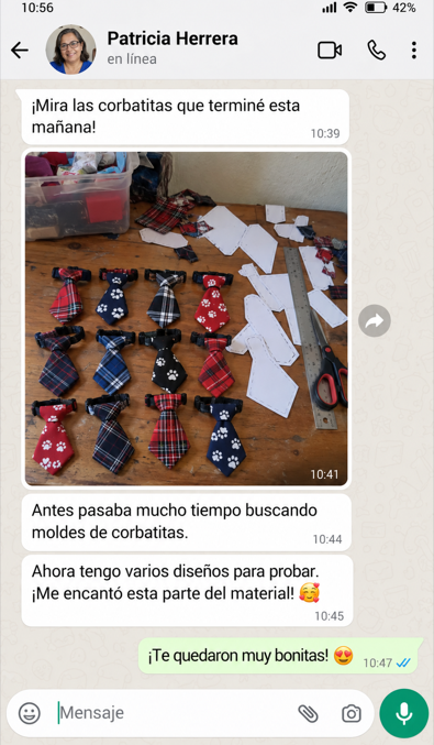 Conversación ilustrativa 4 de 6 sobre accesorios para mascotas