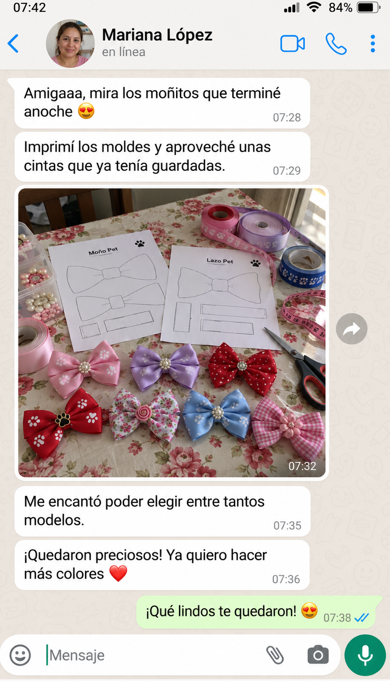 Conversación ilustrativa 6 de 6 sobre accesorios para mascotas